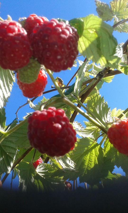 Mo Gardsferie-Pers Frukthage Villa Oystese ภายนอก รูปภาพ